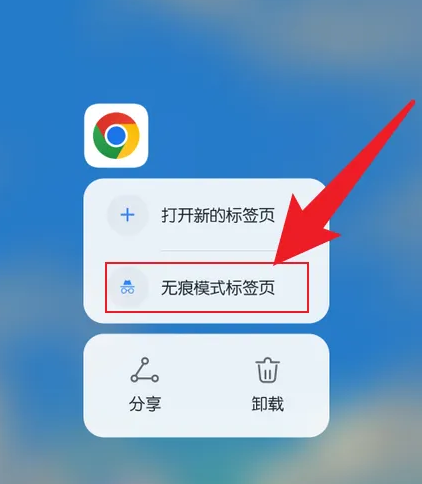 手机谷歌浏览器怎么设置无痕模式3