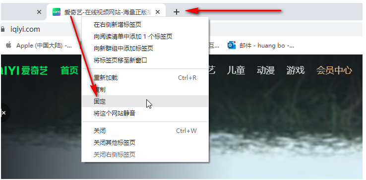 想固定谷歌chrome标签页怎么操作5